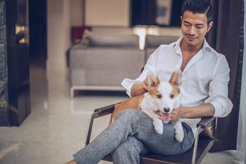 Pet-friendly apartments